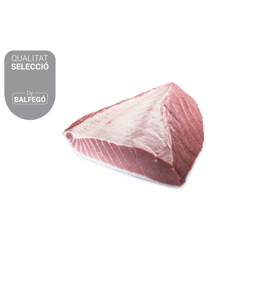 Ventresca de tonyina roja congelada | Qualitat Selecció | Format: 1 kg de sakus